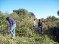 /album/fotogaleria/a100-8280-jpg/